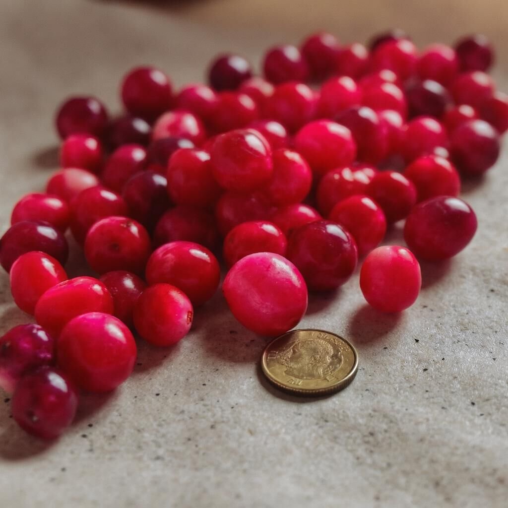 Découvrez les bienfaits exceptionnels du jus de cranberry pour votre santé. Riche en antioxydants, ce trésor naturel renforce votre système immunitaire, aide à prévenir les infections urinaires et contribue à une peau radieuse. Plongez dans l'univers du cranberry et révélez le secret d'une vitalité éclatante !